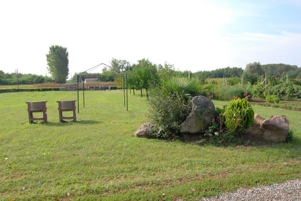 Agriturismo La Biandrina Carpignano Sesia Dış mekan fotoğraf