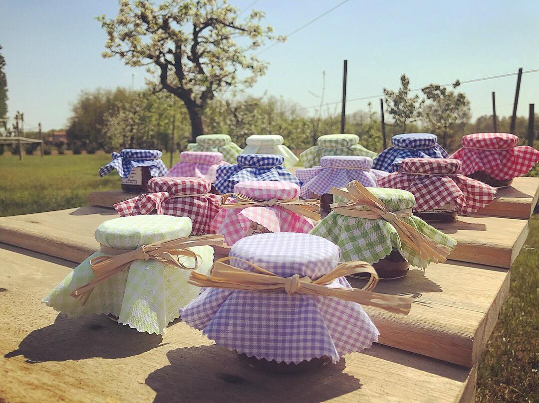 Agriturismo La Biandrina Carpignano Sesia Dış mekan fotoğraf